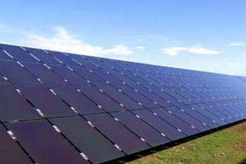 ペットは加水分解に耐性がありますか？